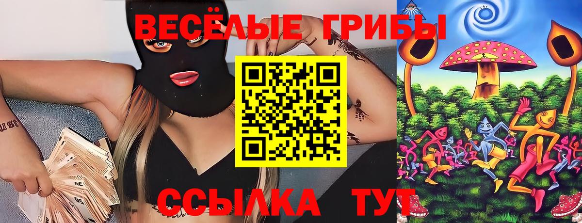Псилоцибиновые грибы MAGIC MUSHROOMS  Вход с VPN  Карпинск 